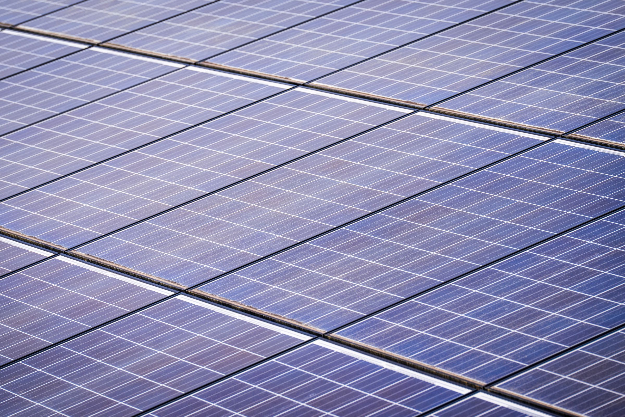 Illustrative photo: Solar panels capturing sunlight for renewable energy